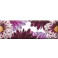 Decor Flower 01____15x45 см