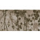 FON-5464 R 40x80 cm Beige